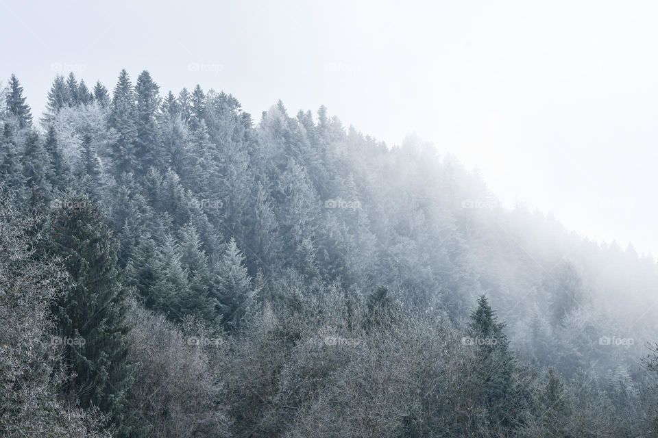 Landscape photo of nature in the mountains 