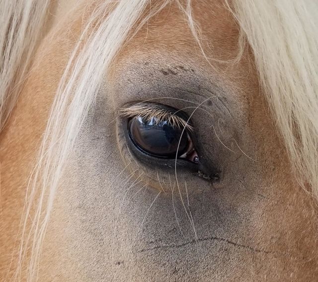 Photo of the Week