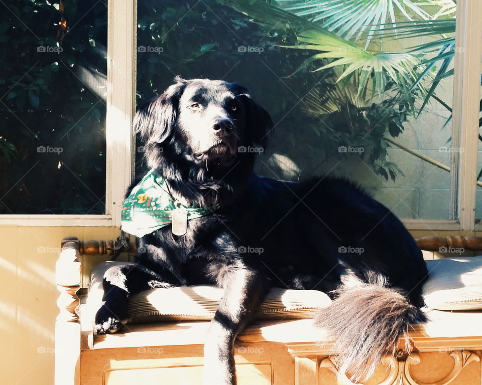 My best friend, Vader