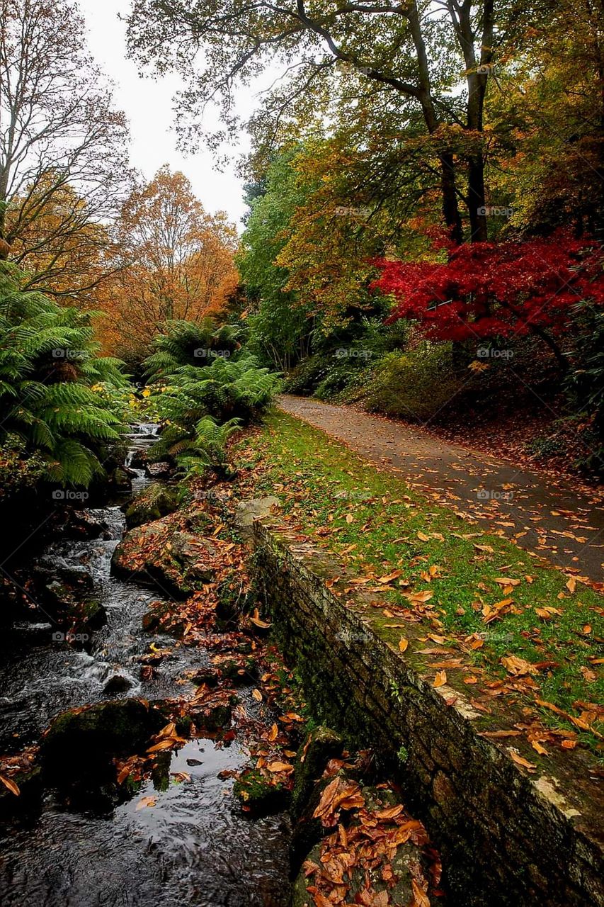 Brest botanical garden, the valley of the Stang Alar, adorned with its autumn colours