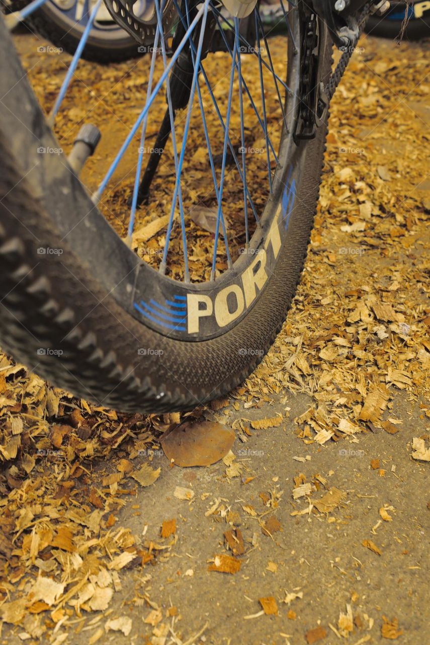 Rubber rims of a bicycle wheel