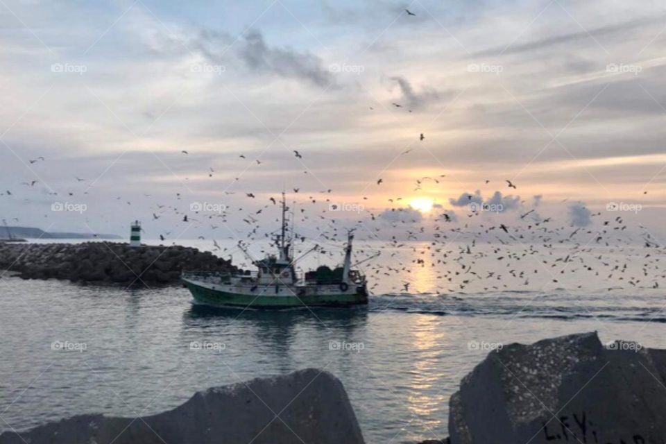 Fisherman’s boat arriving with fish, seagull flying above 