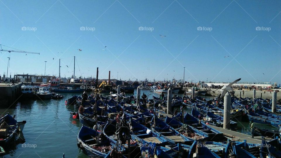 Flock of blue boats in the harbour at essaouira city.