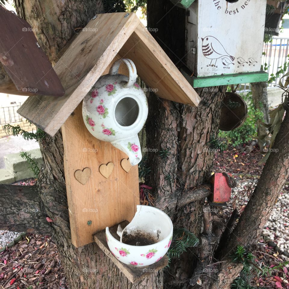 Love this recycled teacup that someone has made into a birdhouse 