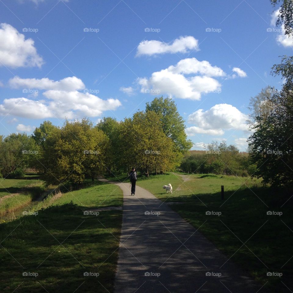 Landscape, Tree, Road, Grass, Nature