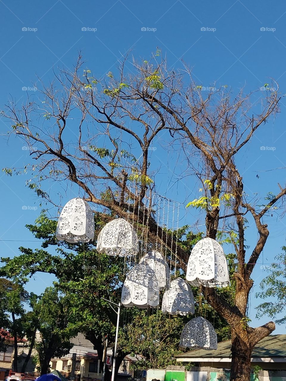 These lanterns in white are being hanged in trees in my city. They serve like the lamp posts that beauty and lights up our town. When I saw this mission, I quickly captured this to join the mission. It's indeed very lovely.