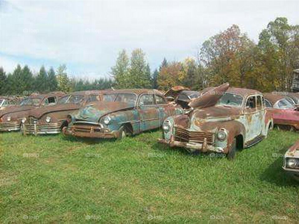 junkyard