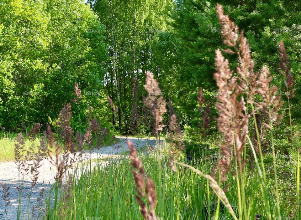 Gravelled road