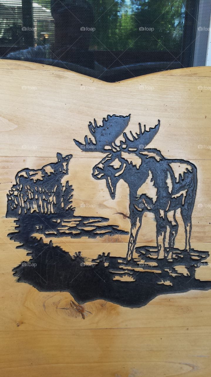moose. engraving