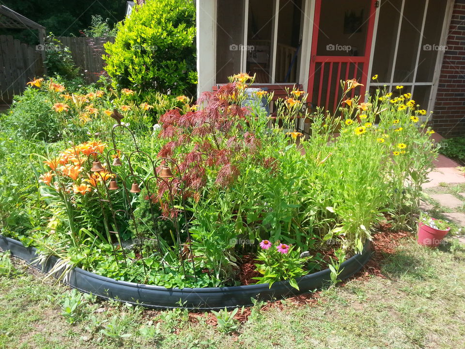 Beautiful garden with much greenery as well as spots of color. 