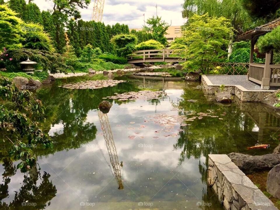 Japanese Garden