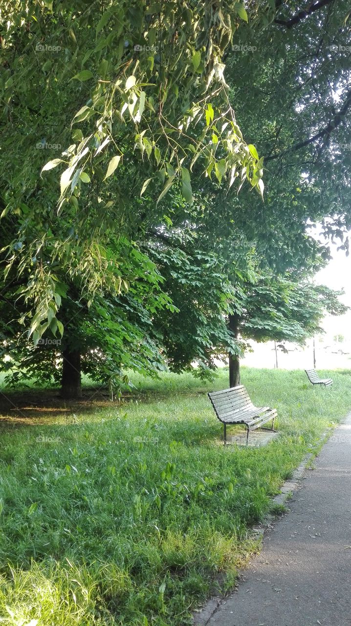 bench