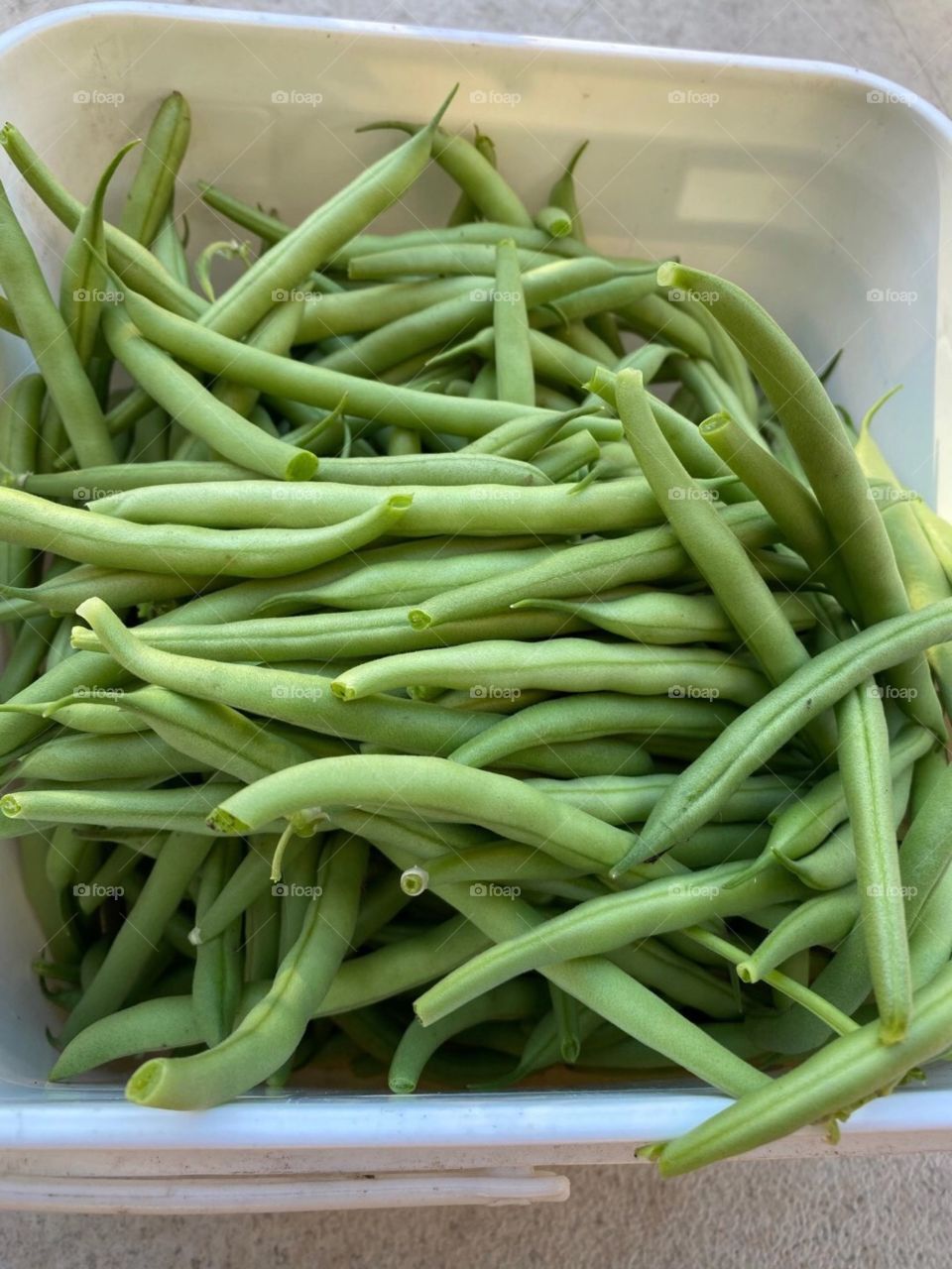 Beans from the garden!