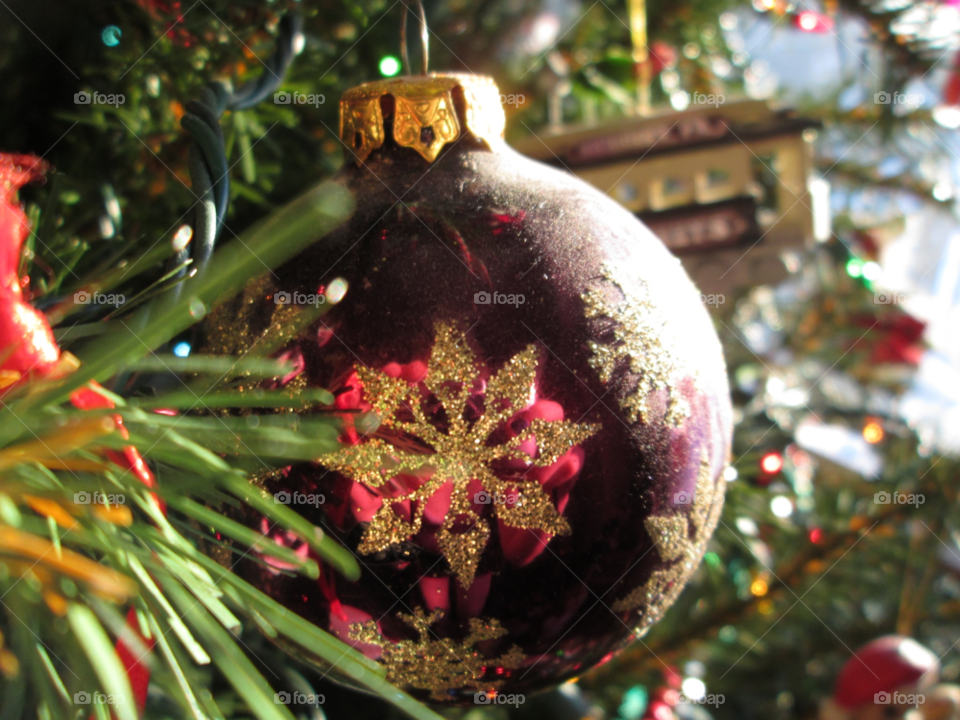 winter morning tree sun by ashley77