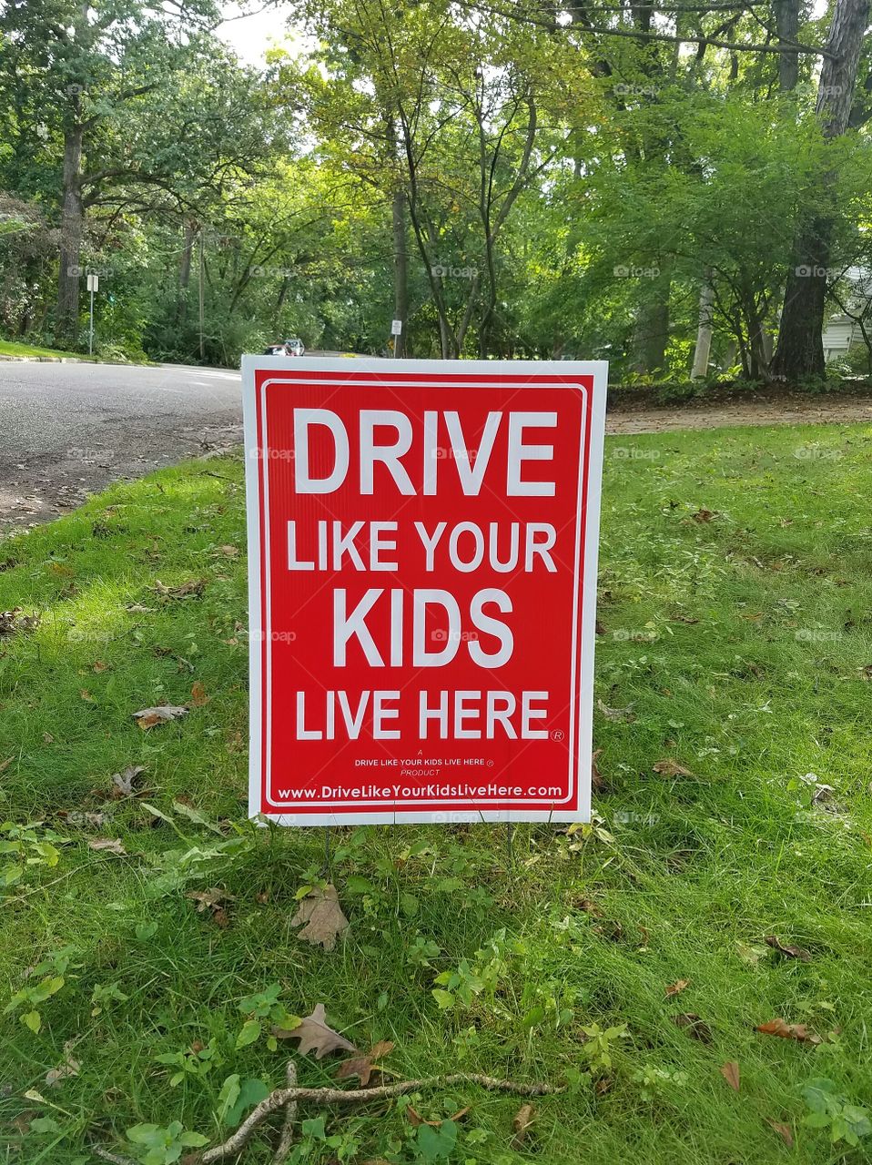 Signal, Road, No Person, Warning, Outdoors