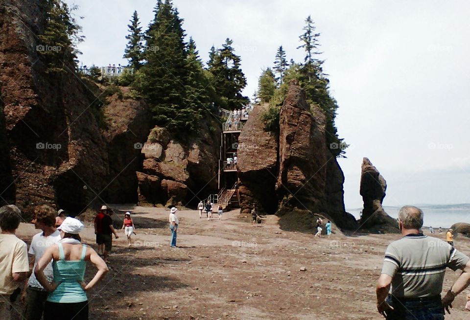 The Bay of Fundy . A more populated shot of the site. These folks are standing on the ocean floor during a low tide. At the high tide the water will touch the trees. 