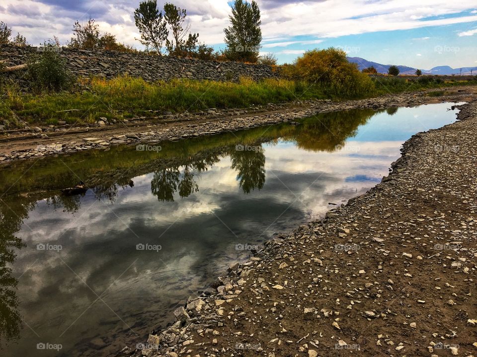 River reflection 