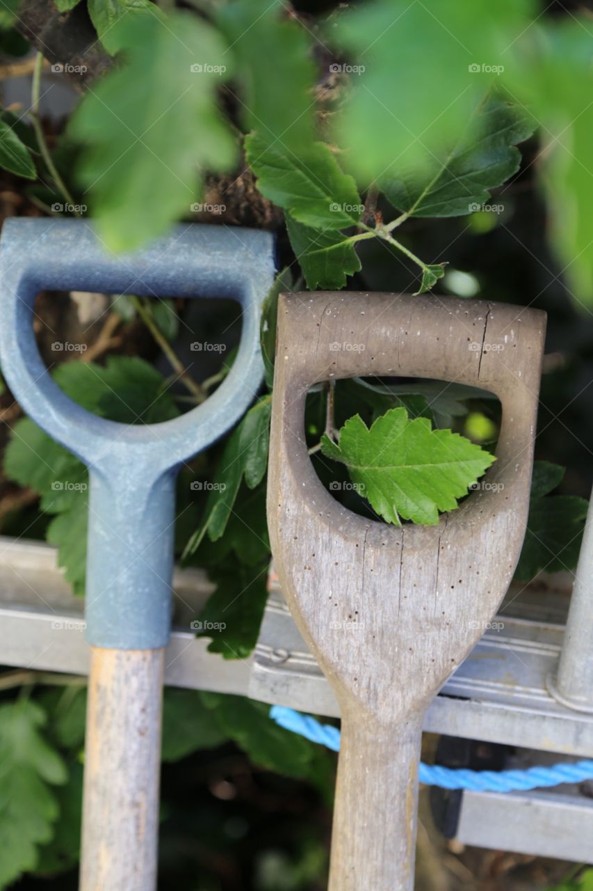 Gardening 