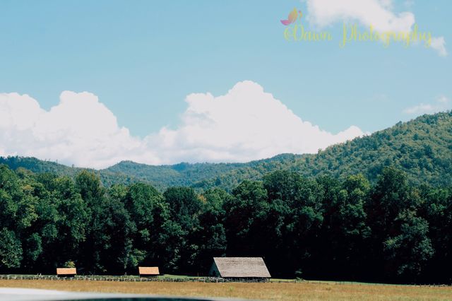In the Valley
