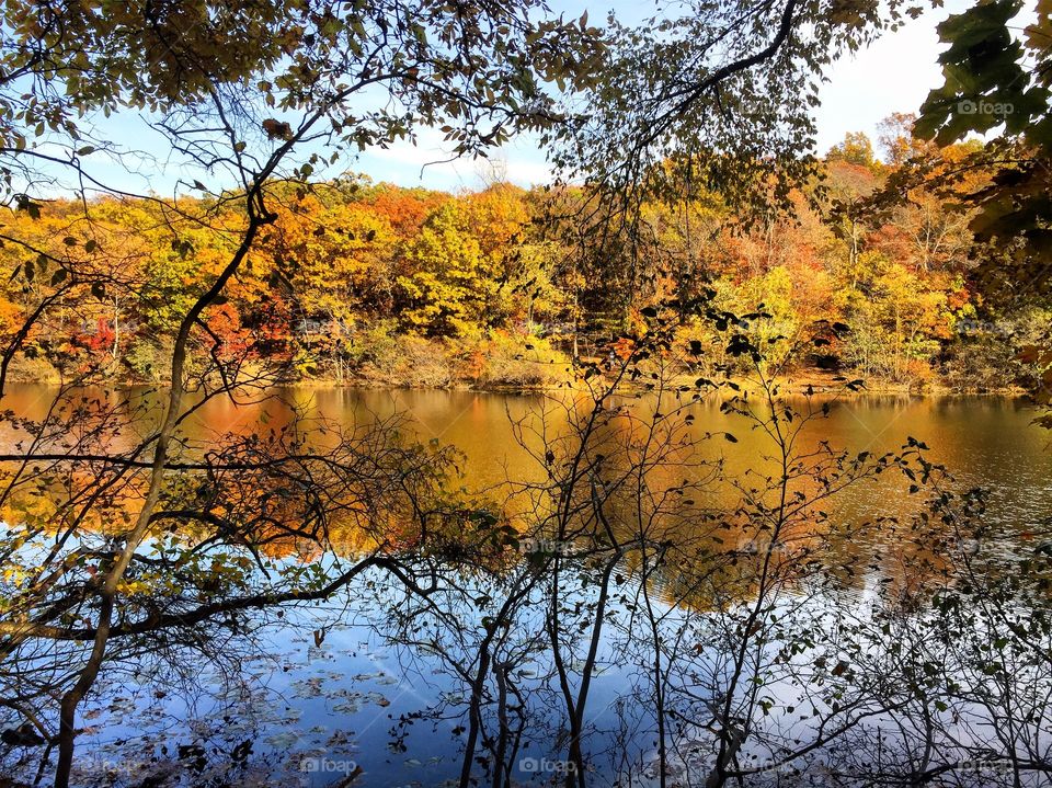 Scenic view of river in autumn
