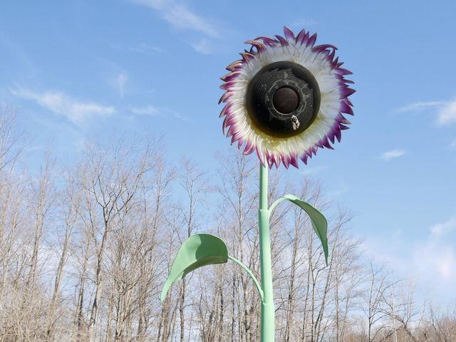 Metal sunflowers adorn a children’s vegetable garden, in a local metro park. 