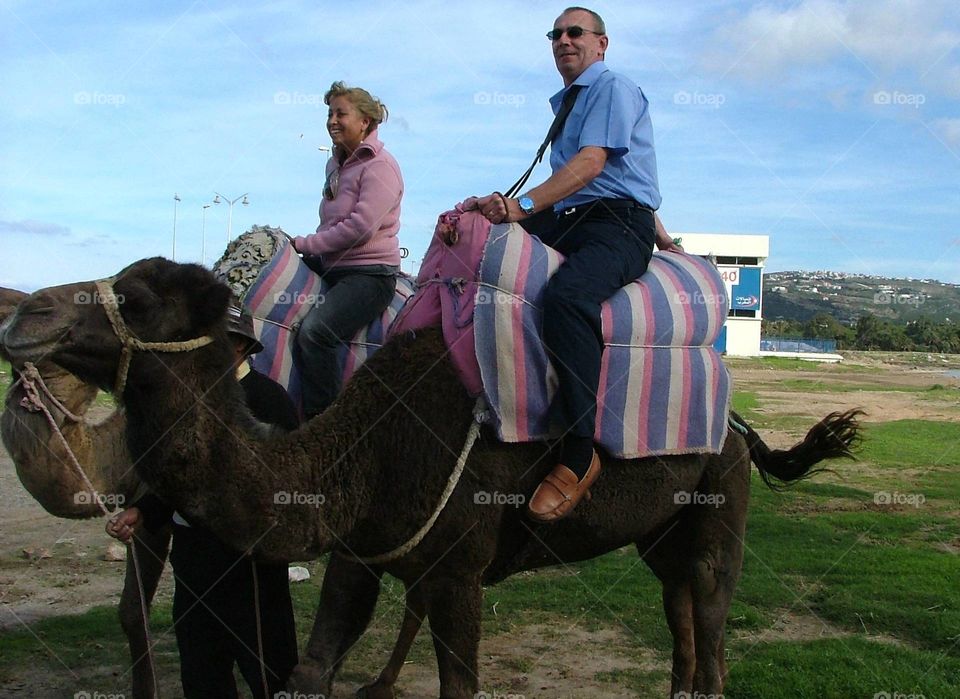 Camel ride 