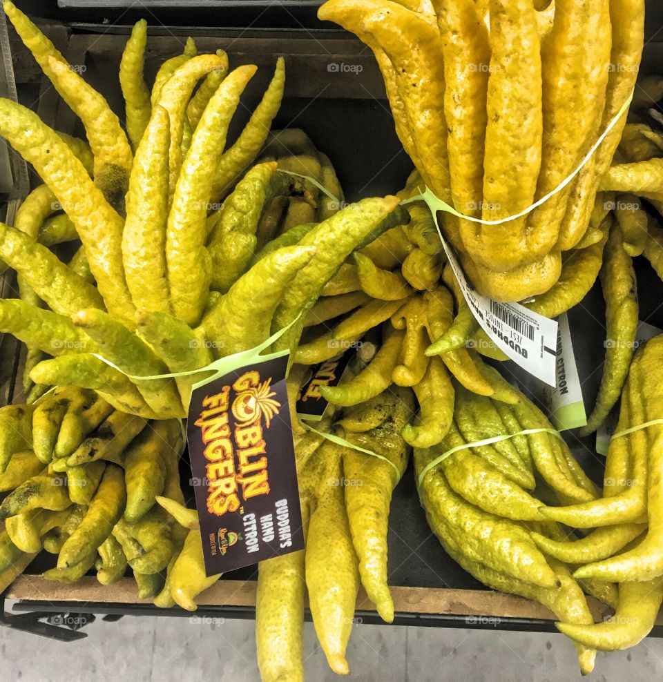Stack of ripe Buddhas Hand Citron. Used during Halloween as goblin fingers