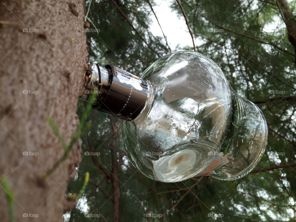 empty whiskey bottle