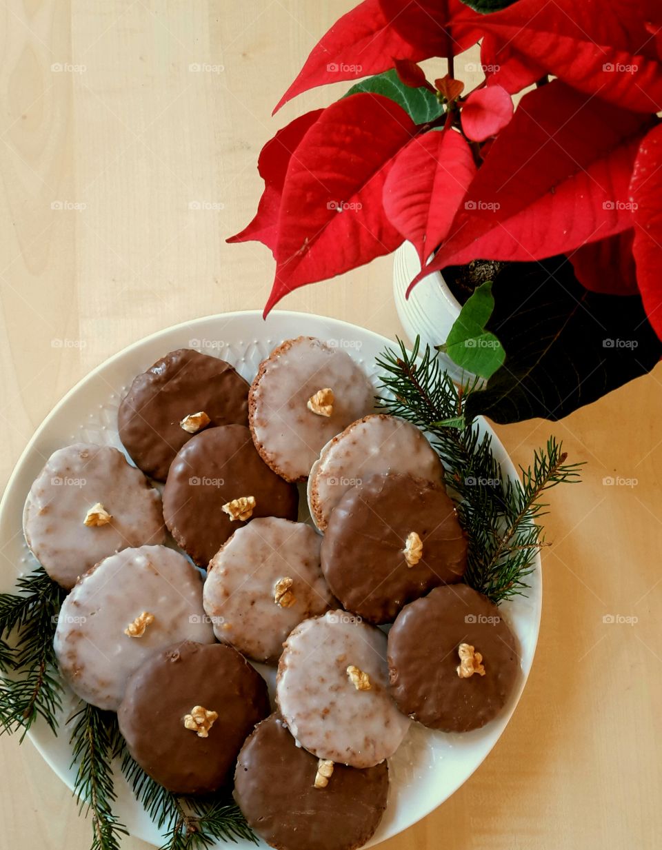 gingerbread and poinsettia