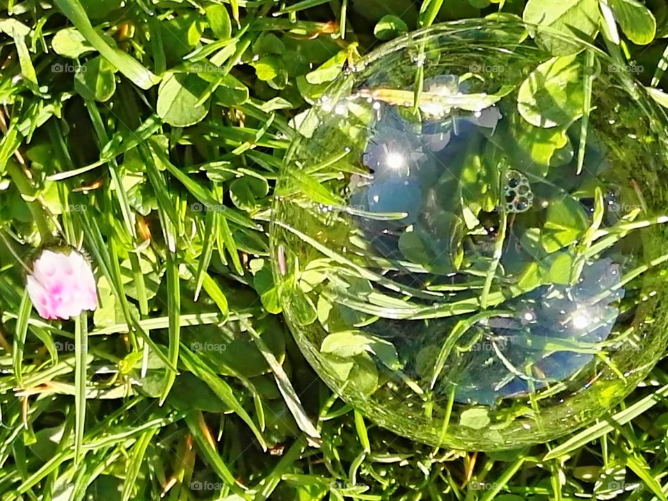 bubble in garden