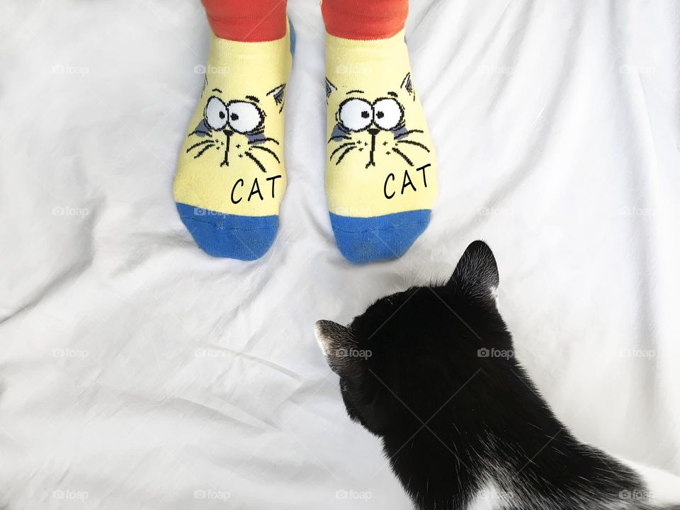 Funny moment with cat