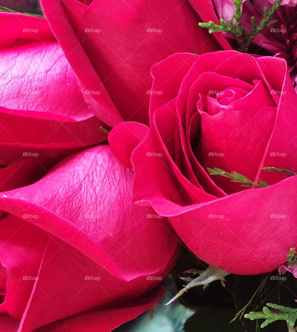 bouquet of red roses, beautiful and very striking