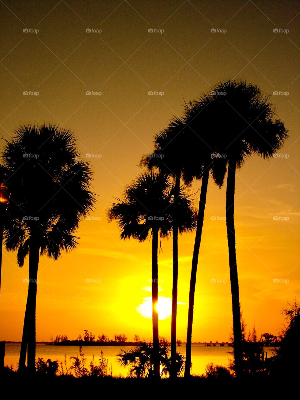 Beautiful Florida view