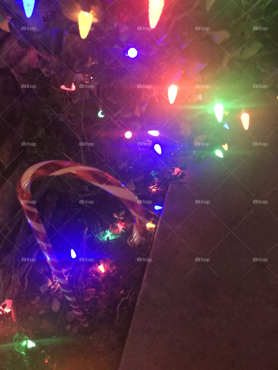 A candy cane Christmas decoration with Twinkling colorful Christmas lights lighting the walkway at night. 