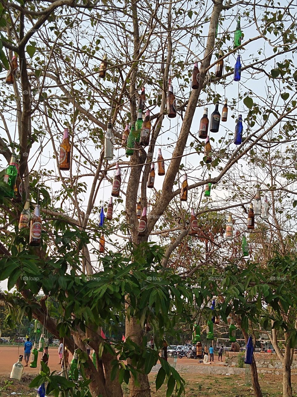 hanging bottles