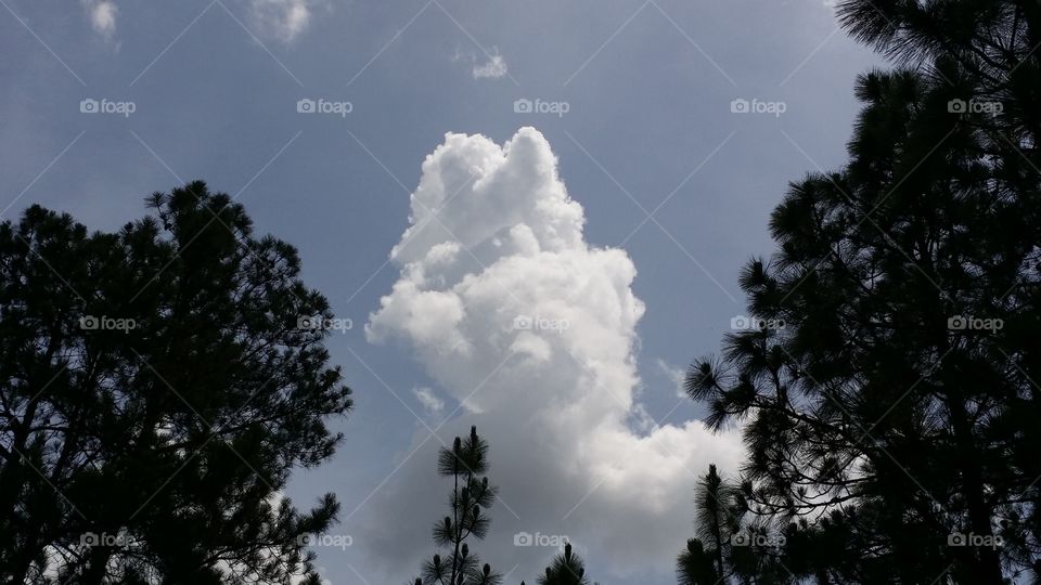 Tall cloud. I'm always looking....looking for unusual or eye-catching clouds