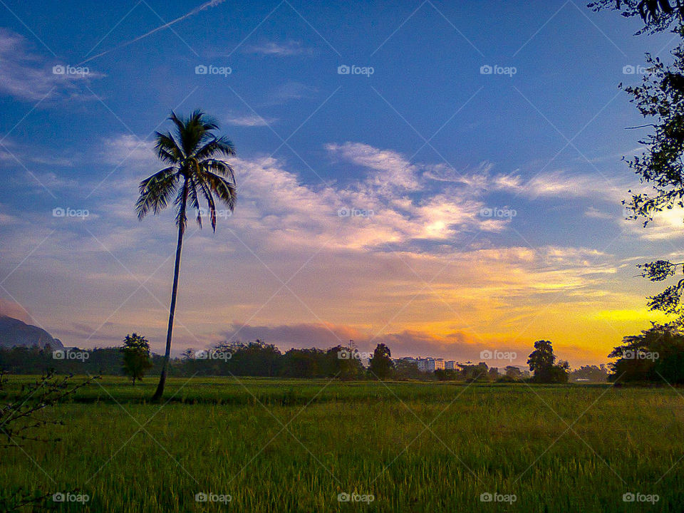 @maple_mal60 Sunrise view from paddy field that give me spirit to get up early and walk around. Unfortunately, only able to capture the sun ray since it's too cold outside. It's too early photoshoot!