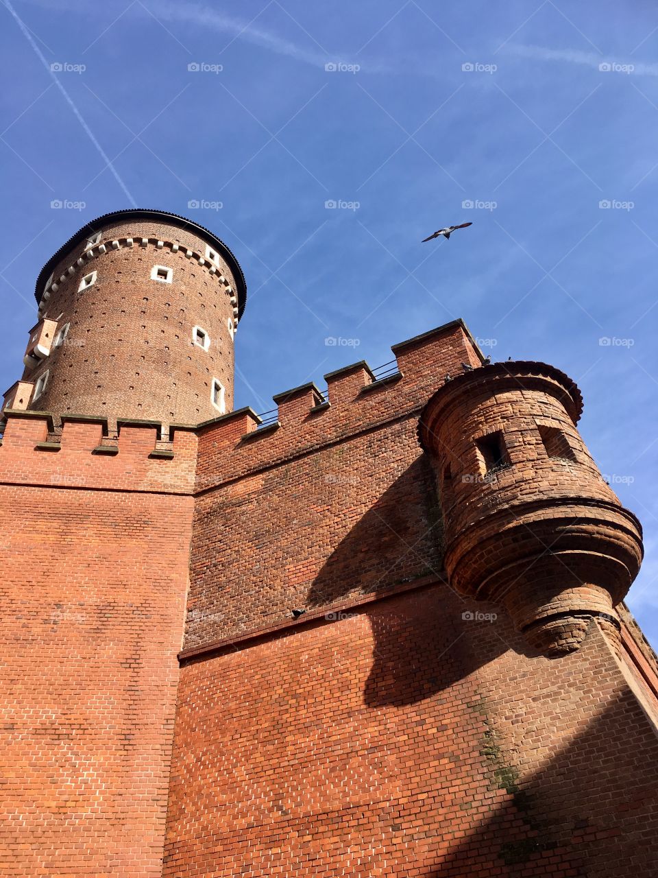 Wawel castle, Kraków, Poland