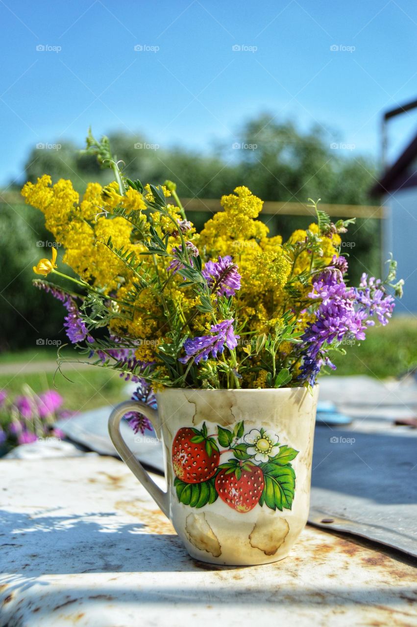 Flowers are the decoration of the earth. Flowers are the decoration of summer. Without flowers, earthly life would lose its charm altogether. Flowers are the smiles of the sun...