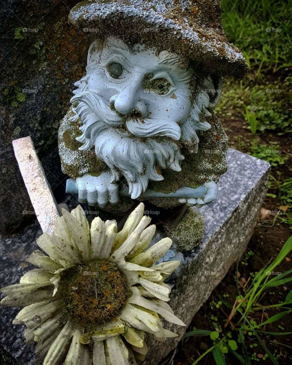 Exposure,
Rotting The Gnome.