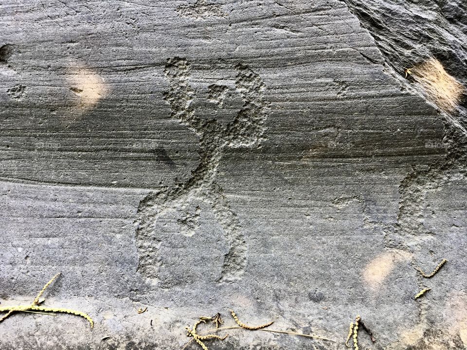 rock carvings of Naquane National Park, Valcamonica