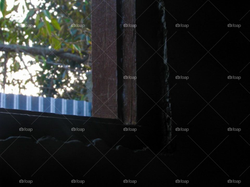 Abstract background of old wooden wall in low angle view