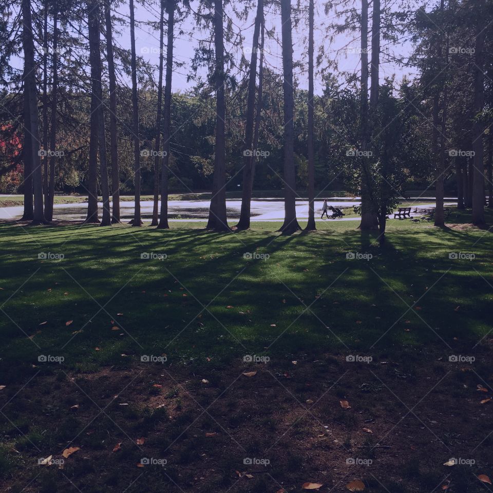 A fall stroll in the afternoon 