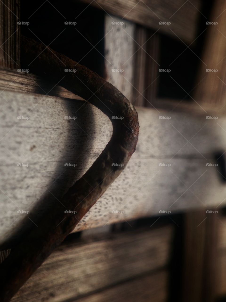 nuted rusty on the house