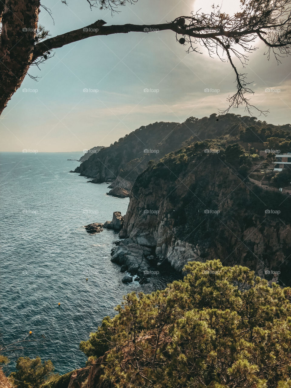 Cost of Mediterranean Sea 