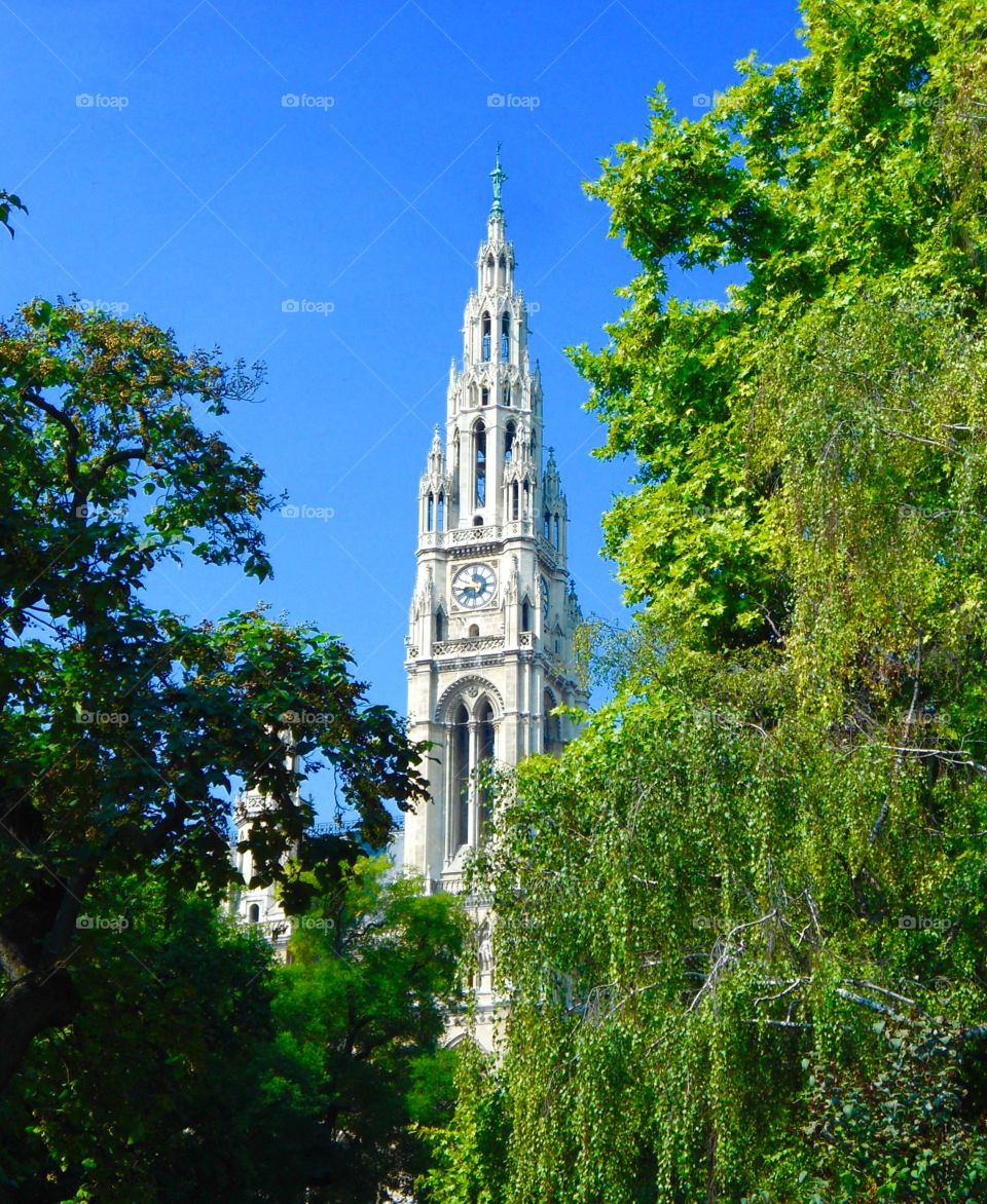 Tower in Vienna. Tower besides trees