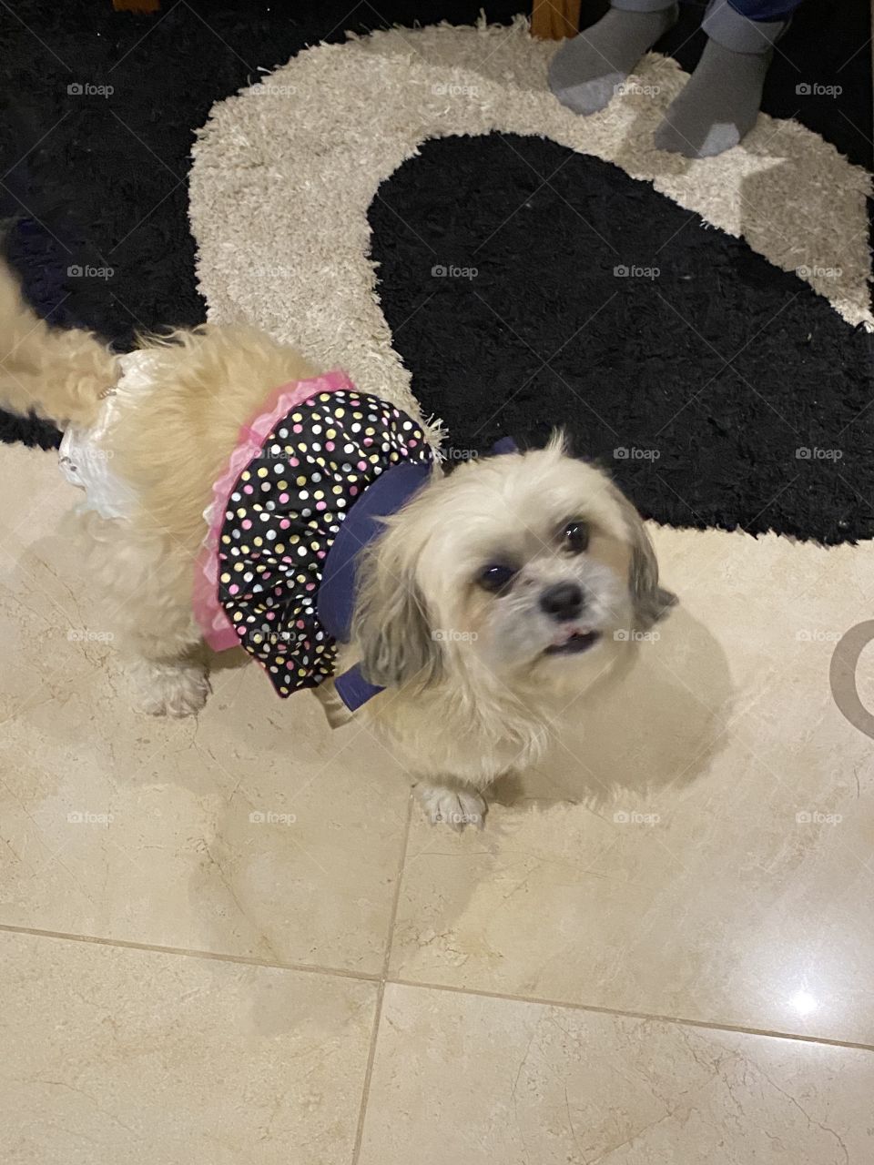 I'm ready when you are!