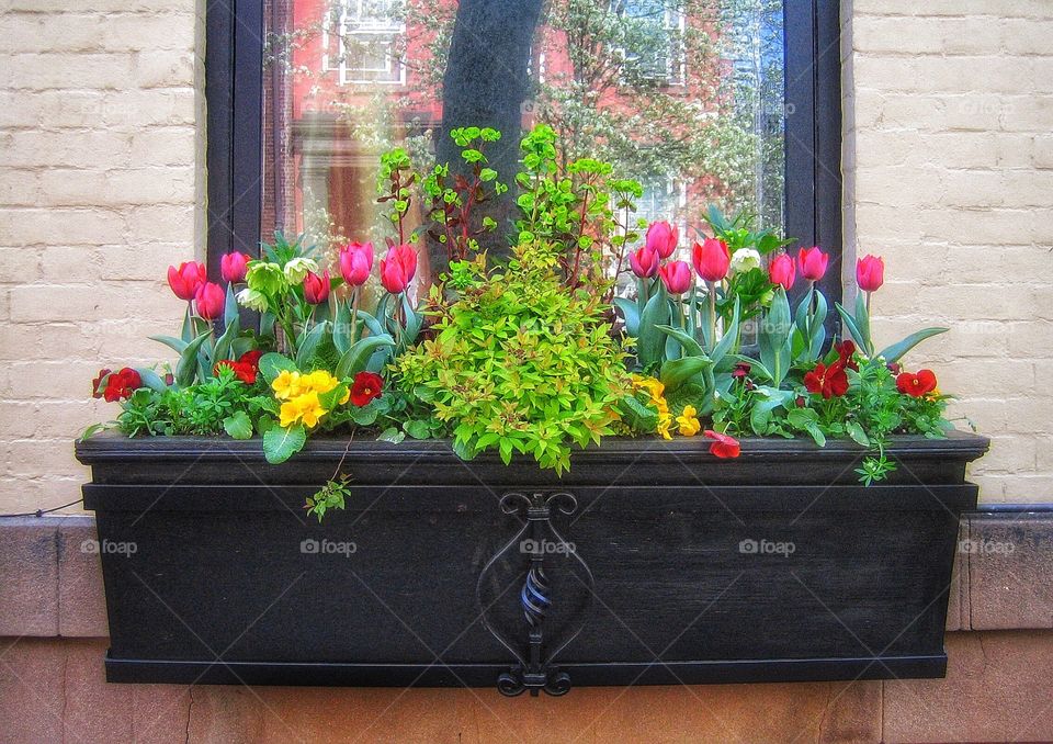 New York City flower box 