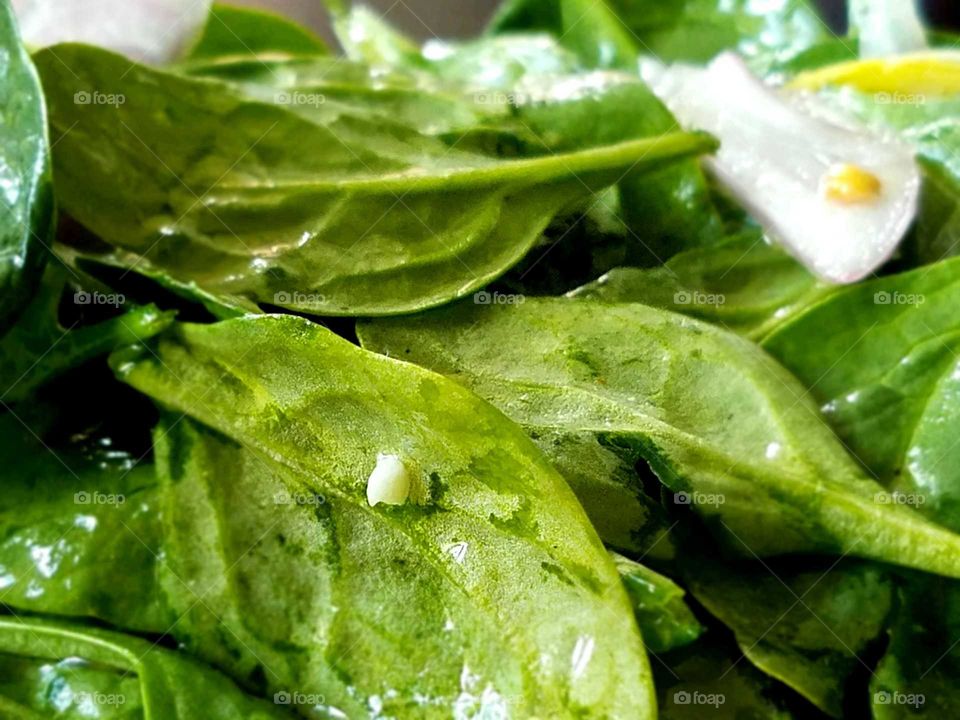 Spinach Salad