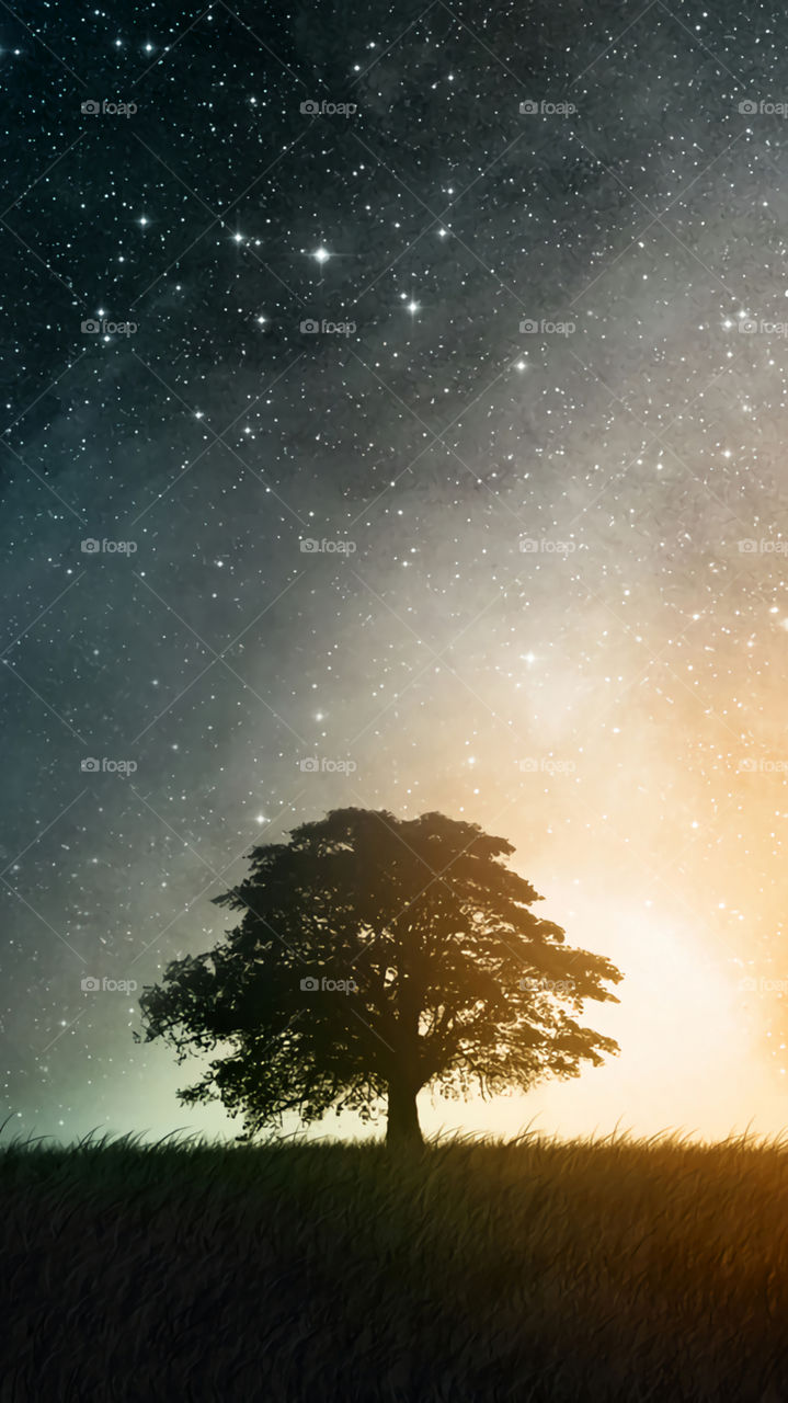 Astronomy, Moon, Galaxy, No Person, Sky